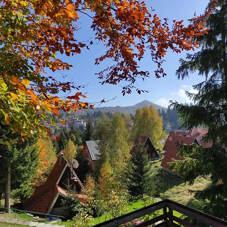 Nyaraló Drvenica Kopaonik