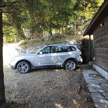 Drvenica Kopaonik