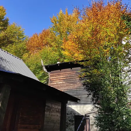 Drvenica Kopaonik